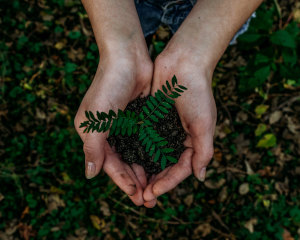 Angel Yeast to invest further in sustainable production