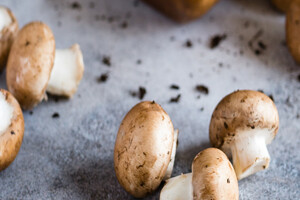 ANVISA approves PLT vitamin D ingredient