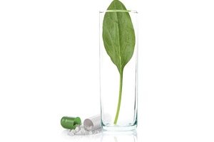Arcofolin: The latest proprietary active L-Methylfolate from Merck