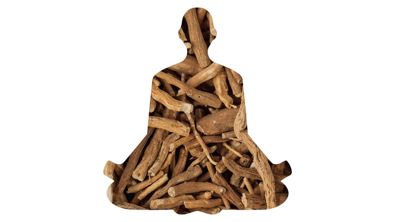 Arjuna Natural launches detoxified Ashwagandha extract 