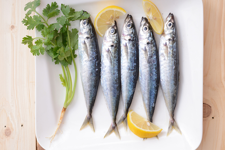 Arjuna’s one-shot, high omega-3 set to launch
