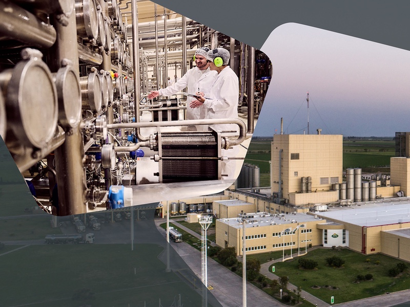 Arla Foods Ingredients invests in Latin America for whey powder and infant proteins