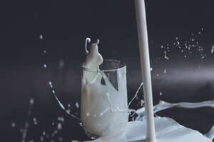 Arla introduces milk fractionation tech for infant formula