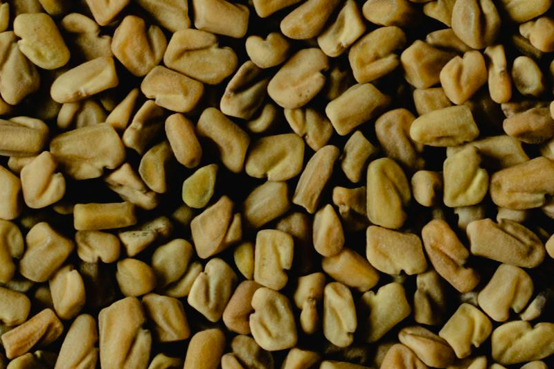 Artemis International announces expansion of ingredient portfolio