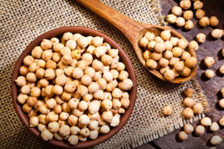 Artesa chickpea protein launches in North America