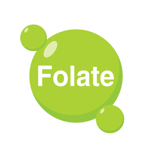 Active folate:  B for beauty (and more)