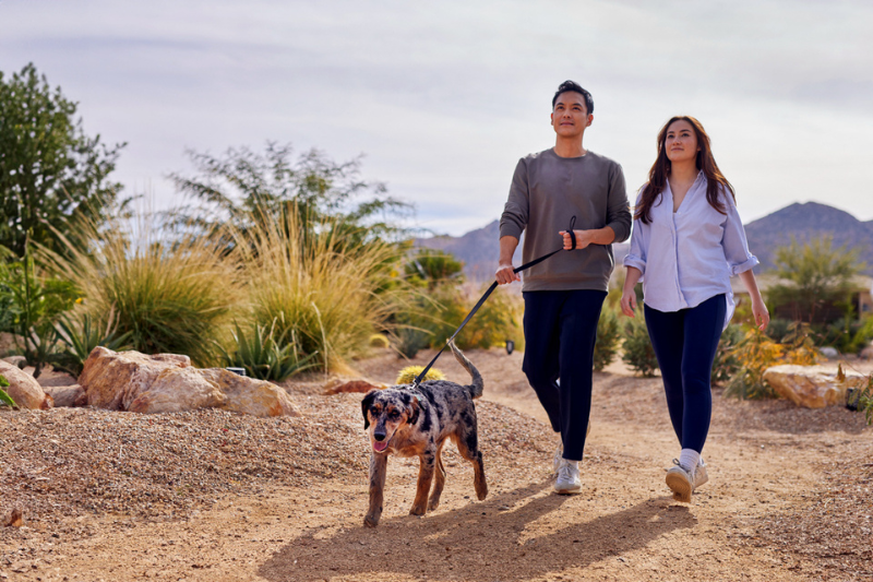 ADM releases consumer report on healthy ageing and longevity trends