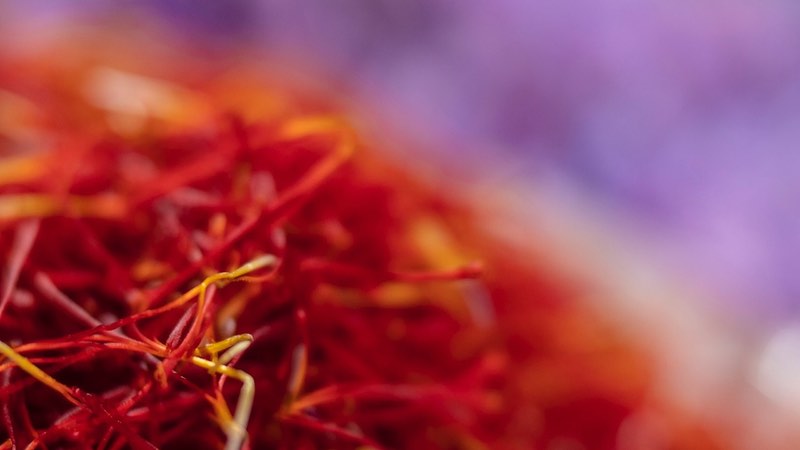 AffronEYE saffron shows benefits for glaucoma risk factors