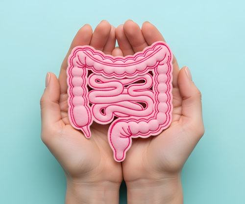 After Ozempic: how GLP-1s are reshaping gut health innovation