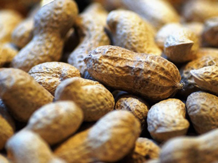 Aimmune receives positive CHMP opinion on PALFORZIA for the treatment of peanut allergy