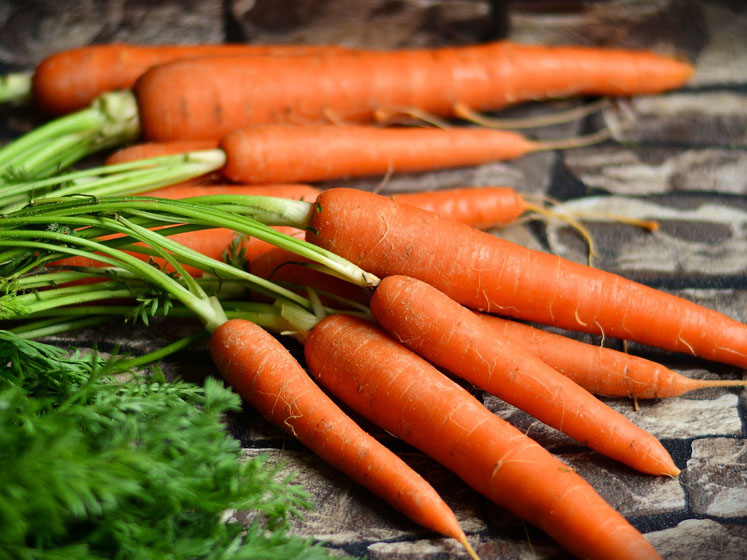 Alpha-carotene is positively associated with muscle strength in older adults