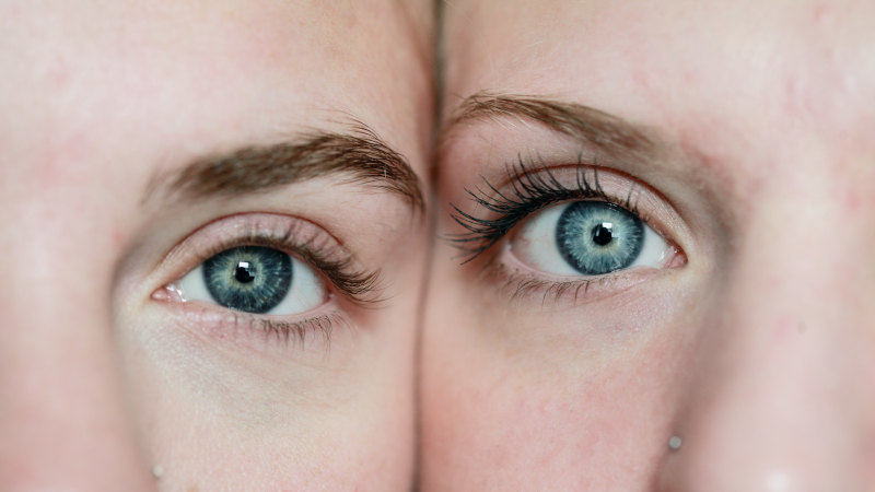 BASF introduces fucoidan-rich algae extract for eye contour appearance