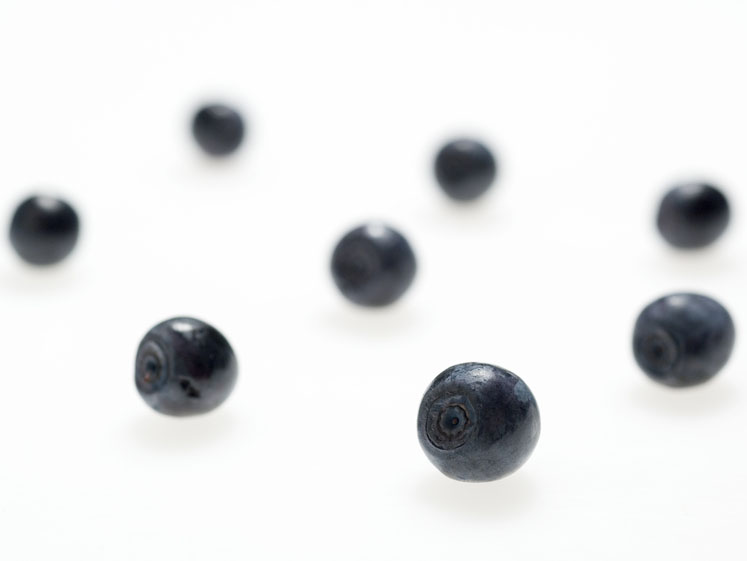 Bilberry fruit: The antioxidant for eye and cardiovascular health
