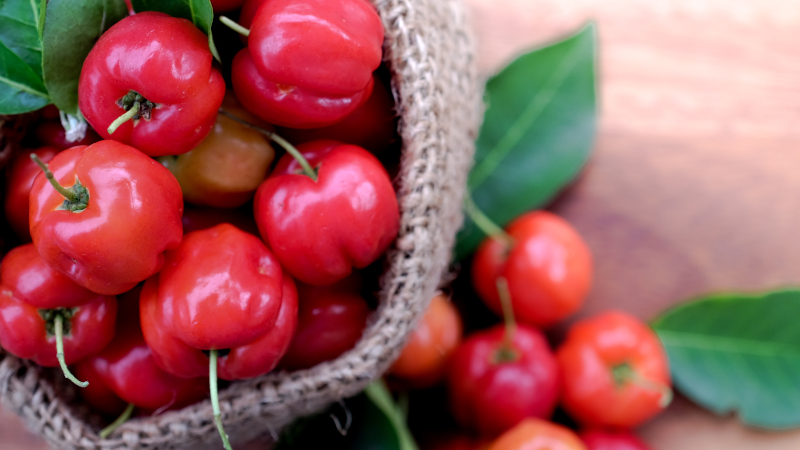 CAIF introduces 34% native vitamin C acerola extract