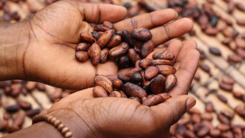 Cargill to empower women in cocoa-growing communities