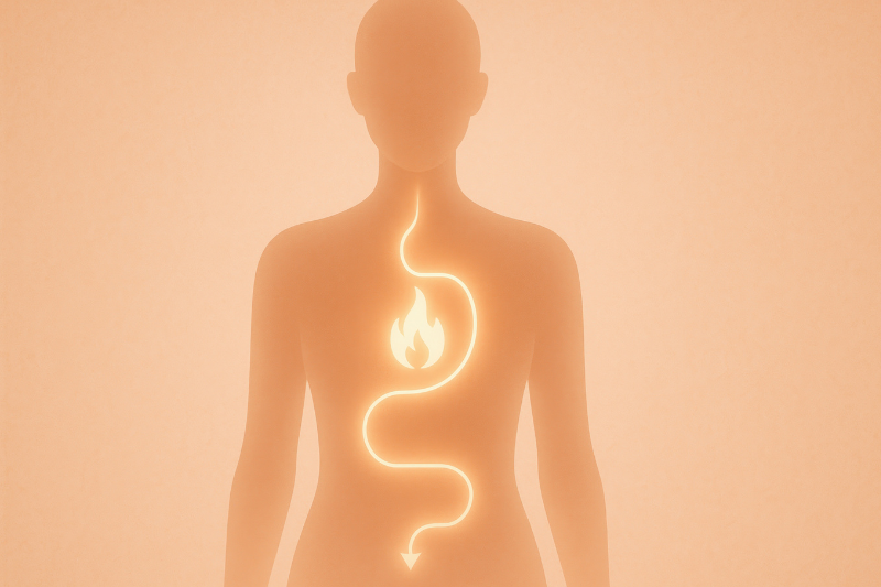 Clinical study shows Dyglomera and CQR-300 boost natural GLP-1 to support metabolic health