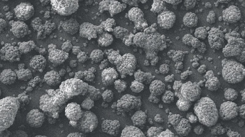 SEM image of StarTab particles from product brochure
