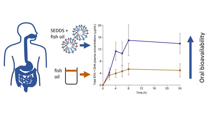 Graphic abstract: Application of intelligent formulation design has the ability to address the poor bioavailability and improve the fasted state bioavailability of fish oils
