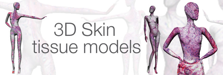 Discover the power of 3D skin models