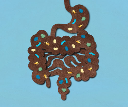 Expanding microbiome innovation with postbiotics