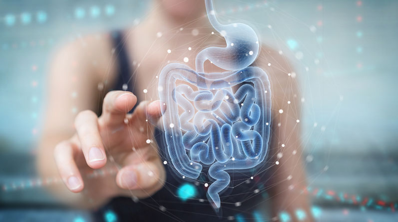 Exploring the latest developments in digestive health