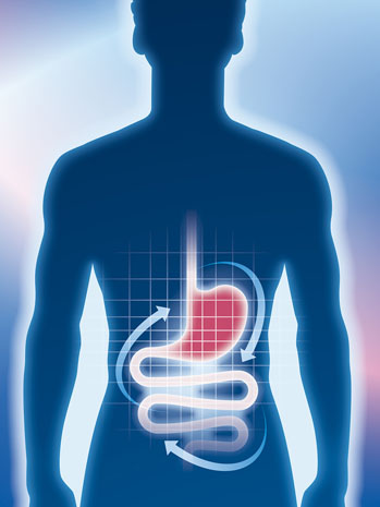 Exploring the potential of probiotics in the treatment of IBS
