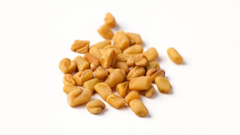 Fenugreek extract by Gencor shows body composition benefits