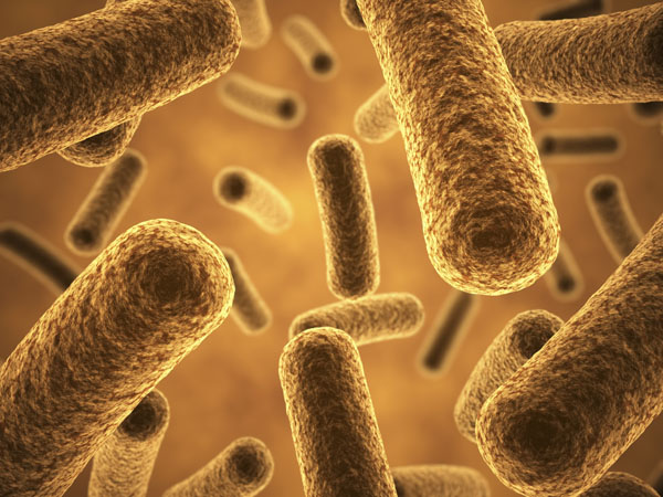 Global probiotics market set for sustained growth through 2030