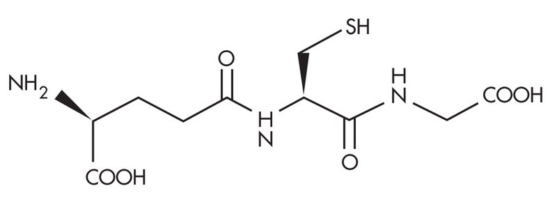Structural formula of reduced Glutathione