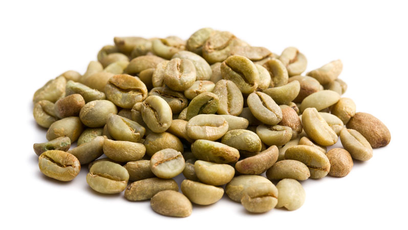 Hemp and coffee proteins: a new paradigm for modern nutrition
