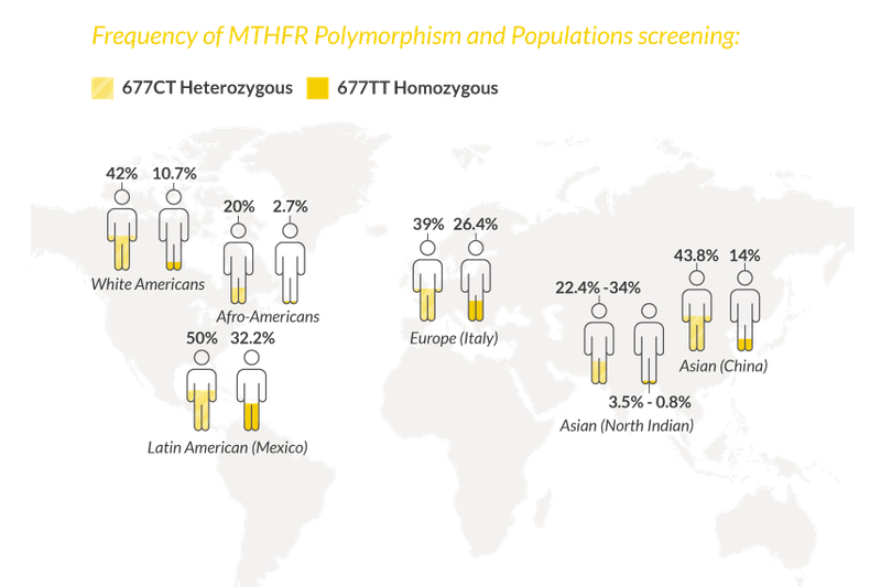 In Asia, 43.8% of MTHFR polymorphism is heterozygous and 14% is homozygous.