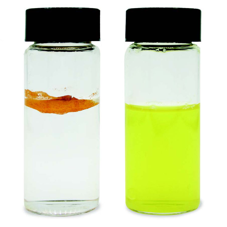 Figure 1: Pure curcumin extract is almost insoluble whereas the enhanced product shows the desired dissolution behaviour 