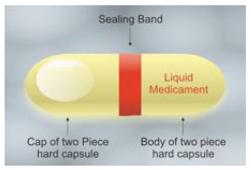 Figure 5: A capsule for liquid filling (Source ACG)