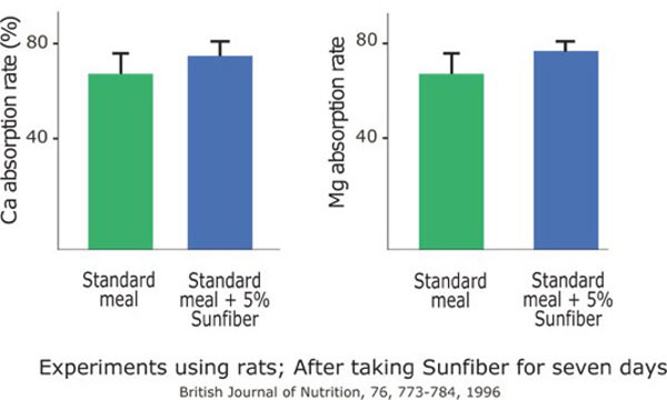 Figure 1: Influence of Sunfiber on calcium (Ca) and magnesium (Mg) absorption rates