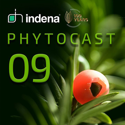 Indena releases ninth episode of Phytocast