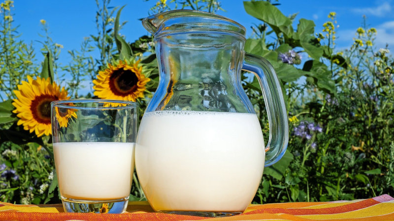 Ingredia to launch two milk proteins at FI Connect