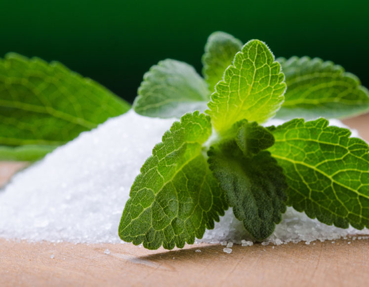 Innovations in stevia production will accelerate sustainability for food and beverage companies