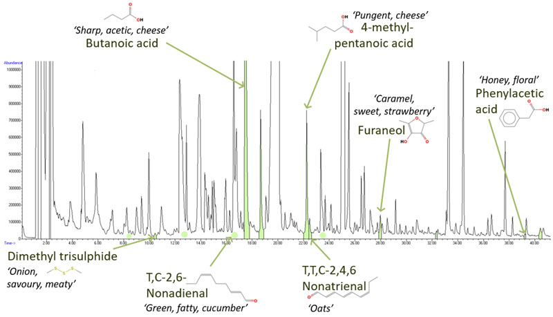 It’s not easy being green: a closer look at the chemistry behind popular greens blends