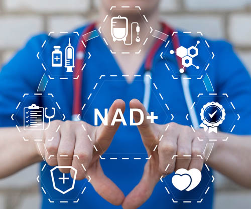 Longevity nutraceuticals are coming of age