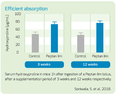 Figure 1: Bioavailability of Peptan IIm 
