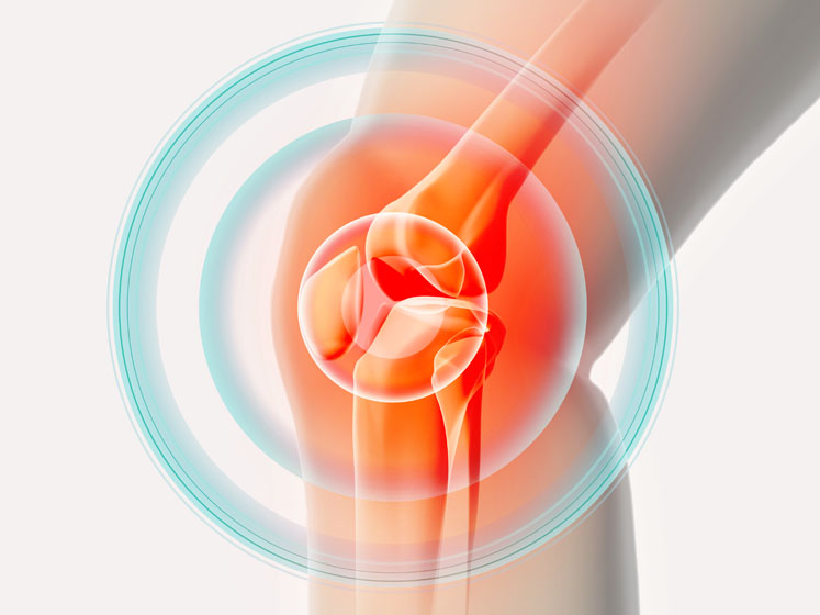 Managing mobility: cartilage, collagen and the science of joint health