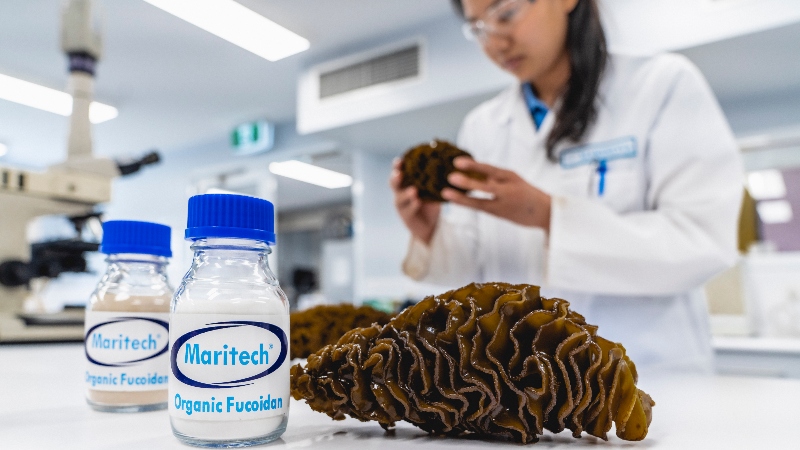 Maritech organic fucoidans named “most innovative ingredient 2022”
