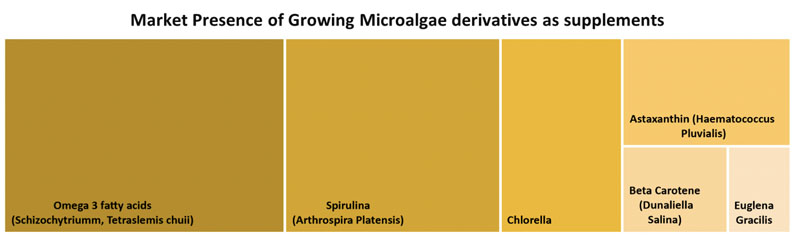 Microalgae: the nutrition-driven future of tomorrow