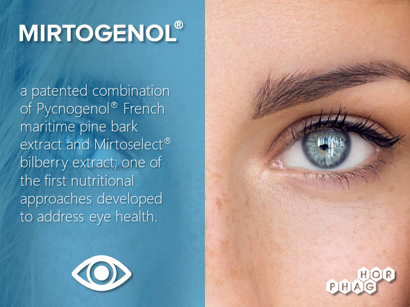 Pycnogenol and vision improvement