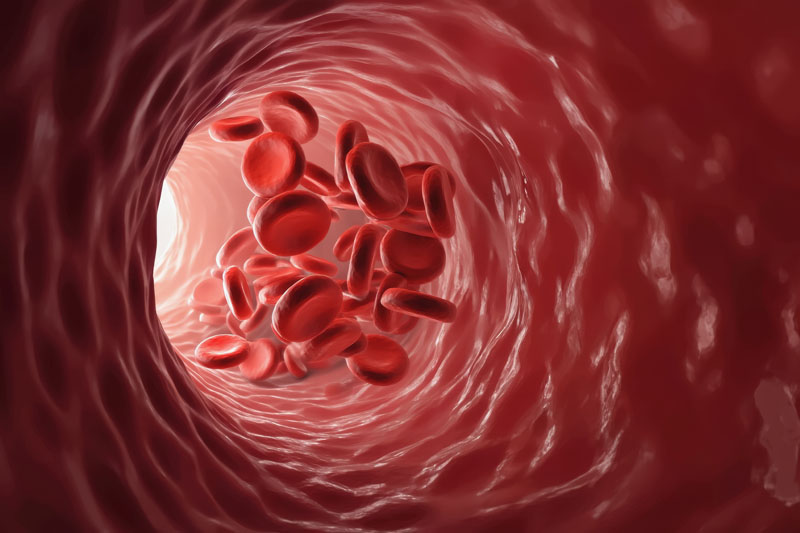 New review highlights the power of Setria Glutathione and Citrulline for better blood flow and performance New review highlights the power of Setria Glutathione and Citrulline for better blood flow and performance