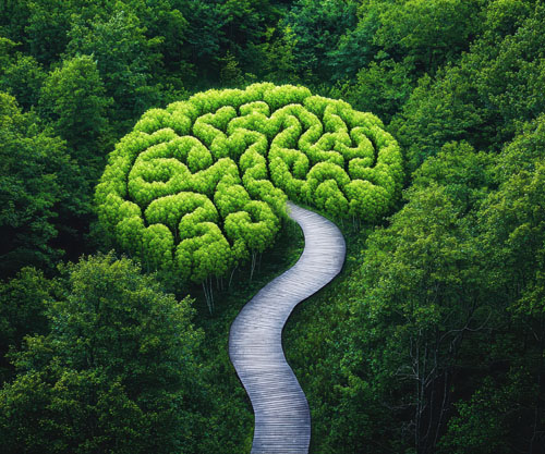 New scientific reviews highlight tocotrienols’ potent neuroprotective effects