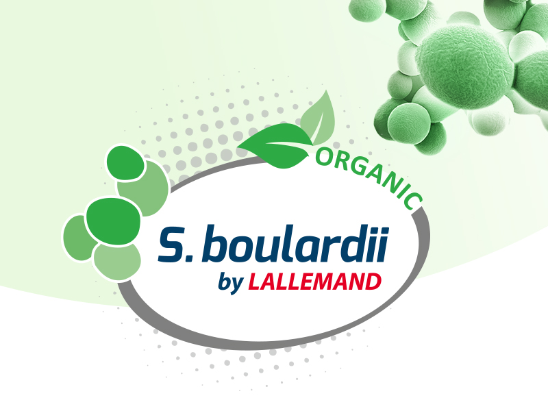 Organic S. boulardii: A probiotic breakthrough by Lallemand