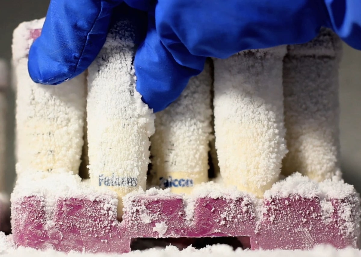 Frozen bacteria coming out of storage. <br> Credit: Symprove