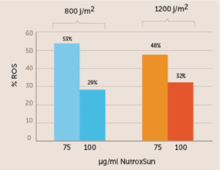 Figure 1. In this in vitro study, NutroxSun was shown to prevent the formation of reactive oxygen species (ROS) in cells exposed to UV radiation. At 100μg/ml, NutroxSun reduced ROS formation by more than two thirds.