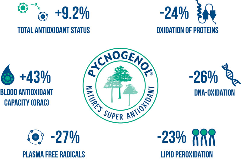 Pycnogenol in immune health: inflammatory response, antioxidant activity and symptom relief (part I)